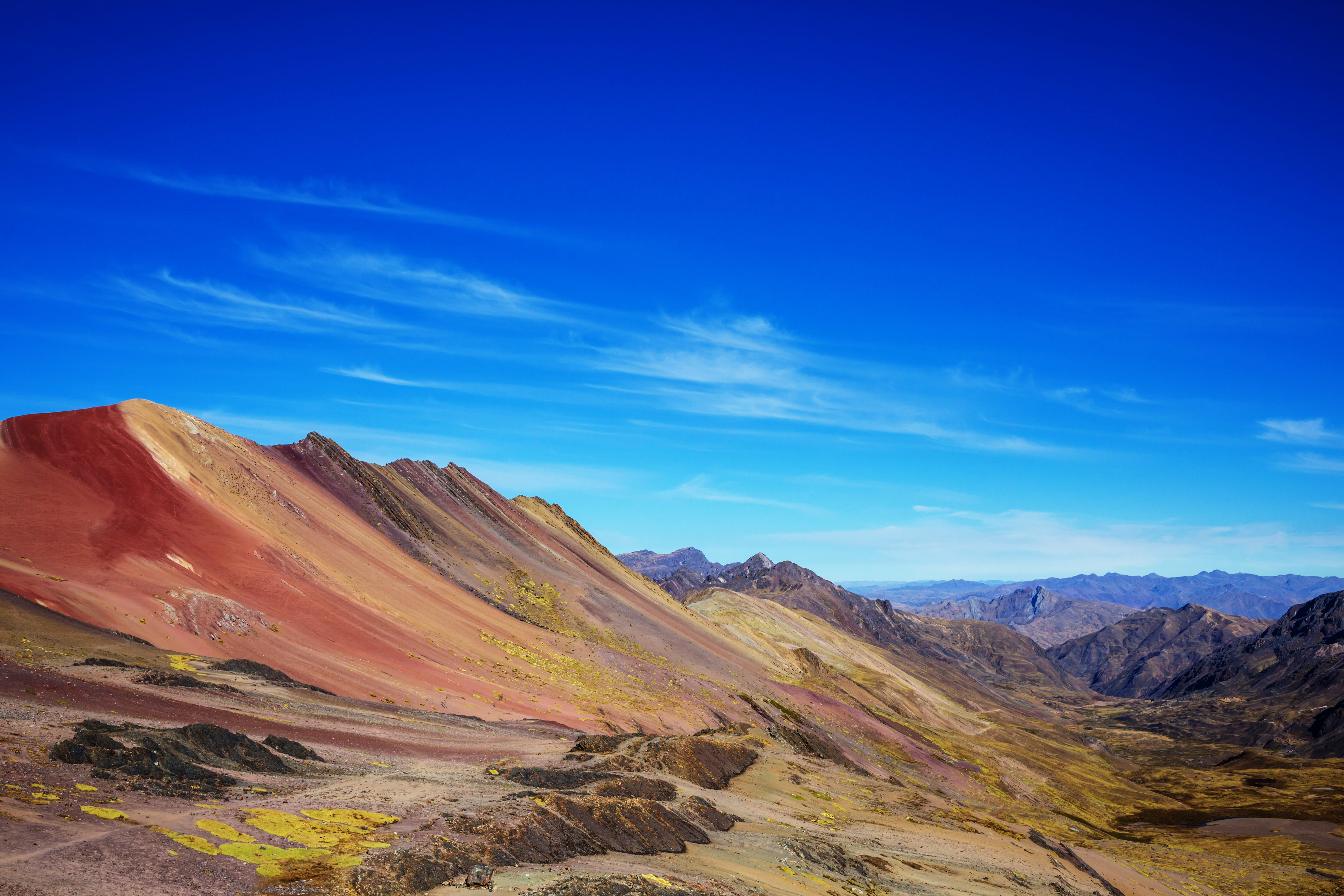 Licensing and telehealth availability